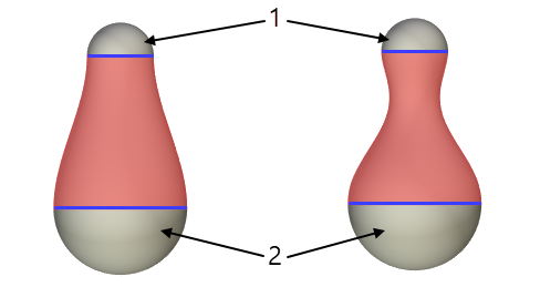 Loft.Tab.SectionGroup.TangentByGeometry.Curvature